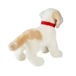 Best Gemma Cream Lab Mix Rescue Pup Dogs