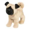 Hot Hamilton Pug Dogs