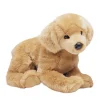 Outlet Honey Golden Retriever Dogs