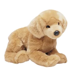 Outlet Honey Golden Retriever Dogs