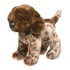 Best Ivan German Pointer Dogs