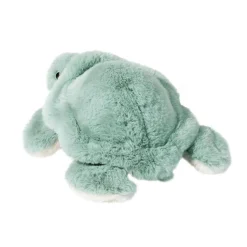 Best Jade Sea Turtle Sea Life