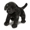 Best James Black Lab Dogs