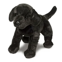 Best James Black Lab Dogs