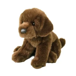 Sale Java Chocolate Lab Dogs