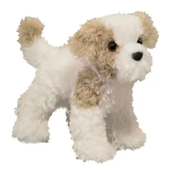 Outlet Jolly Maltipoo Dogs