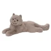 Hot Juliette Persian Cat Cats