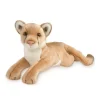 Outlet Kelso Mountain Lion Wildlife