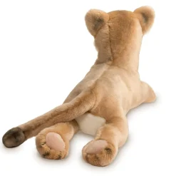 Outlet Kelso Mountain Lion Wildlife