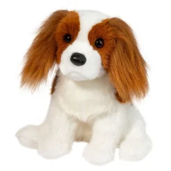 New Kingsley Cavalier King Charles Spaniel Dogs