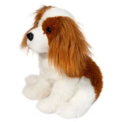 New Kingsley Cavalier King Charles Spaniel Dogs