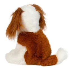 New Kingsley Cavalier King Charles Spaniel Dogs