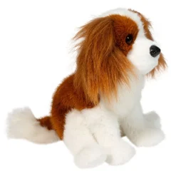 New Kingsley Cavalier King Charles Spaniel Dogs
