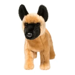 Best Klaus Belgian Malinois Dogs