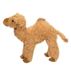 Hot Lawrence Camel Wildlife