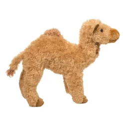 Hot Lawrence Camel Wildlife