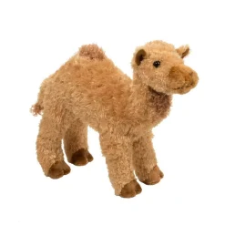 Hot Lawrence Camel Wildlife