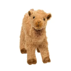 Hot Lawrence Camel Wildlife