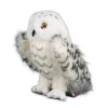 Hot Legend Snowy Owl Wildlife