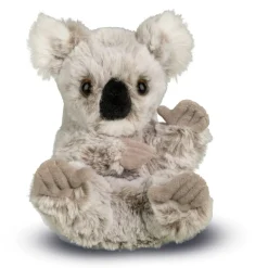 Outlet Lil' Baby Koala Wildlife