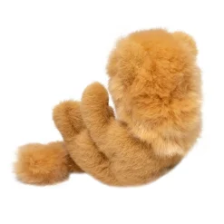 Fashion Lil' Baby Lion Wildlife