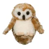 Best Lil' Baby Owl Wildlife