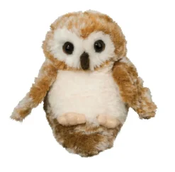 Best Lil' Baby Owl Wildlife