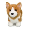 Fashion Louie Corgi Dogs