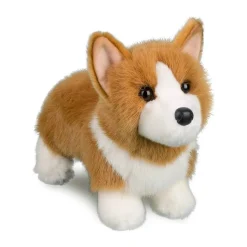 Fashion Louie Corgi Dogs