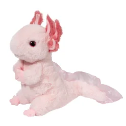 Sale Luisa Axolotl Wildlife