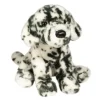 Hot Mackay Dalmatian Dogs