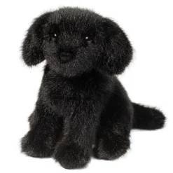 Online Mini Black Lab Dogs