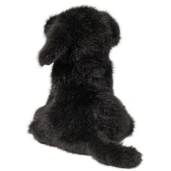 Online Mini Black Lab Dogs
