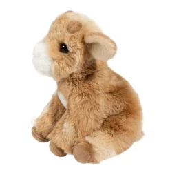 Best Mini Dandie Soft Goat Farm