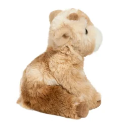 Best Mini Dandie Soft Goat Farm