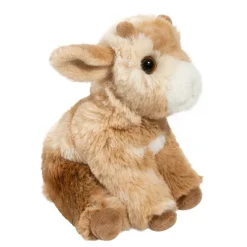Best Mini Dandie Soft Goat Farm