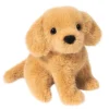 Discount Mini Golden Retriever Dogs