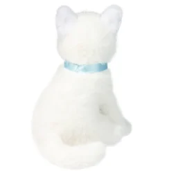 Best Mini White Cat Cats