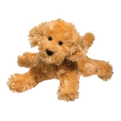 New Molasses Labradoodle Dogs