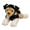 Hot Moses Dlux Terrier Mix Dlux
