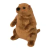 Fashion Mr. G Groundhog Wildlife