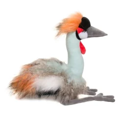Hot Nia African Crowned Crane Wildlife