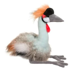 Hot Nia African Crowned Crane Wildlife