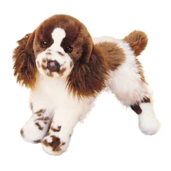 Best Ogilvy Springer Spaniel Dogs