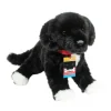 New Olive Black Lab / Pit Bull Mix Rescue Pup Dogs
