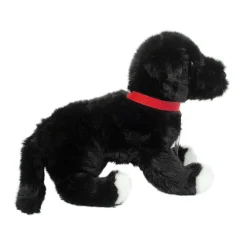 New Olive Black Lab / Pit Bull Mix Rescue Pup Dogs