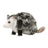 Best Oliver Possum Wildlife