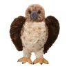 Sale Orion Red-Tailed Hawk Wildlife