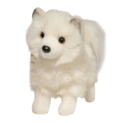 New Phoebe Pomsky Dogs
