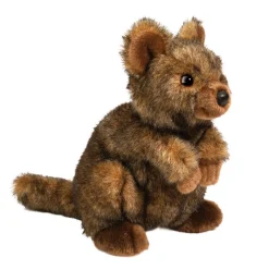 Best Quinn Quokka Wildlife